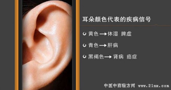 从耳朵颜色简单判断出身体状况