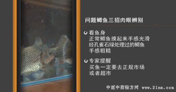 如何用肉眼鉴别鲫鱼是否有问题