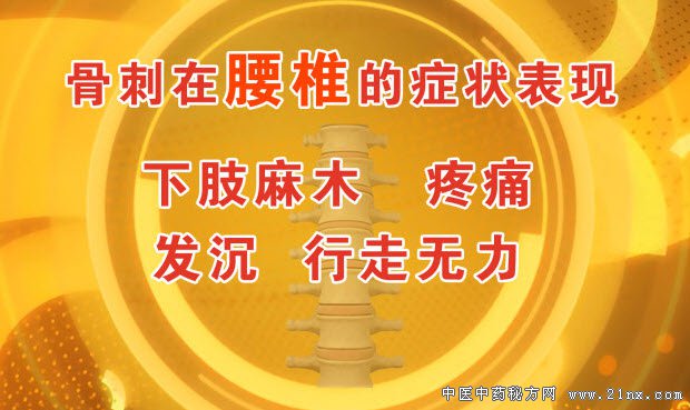 骨刺在腰椎症状表现