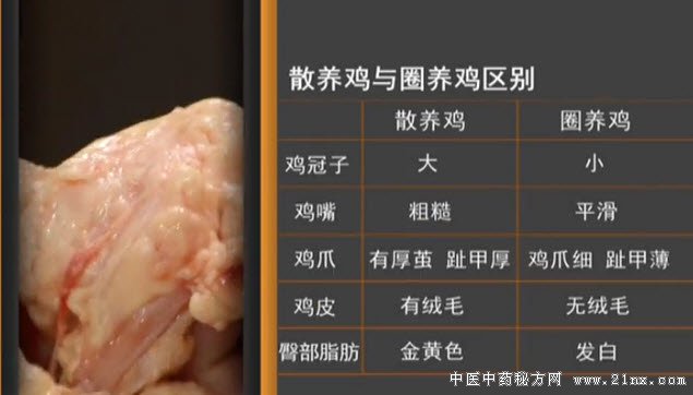 散养鸡与圈养鸡的区别