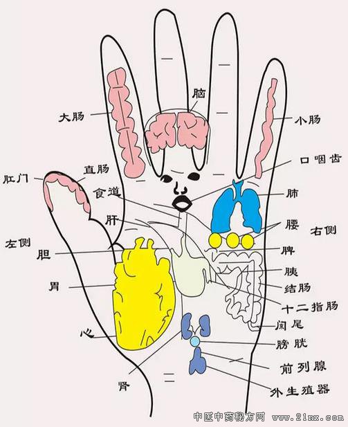 手部经络分布图