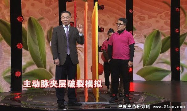 主动脉夹层破裂模拟