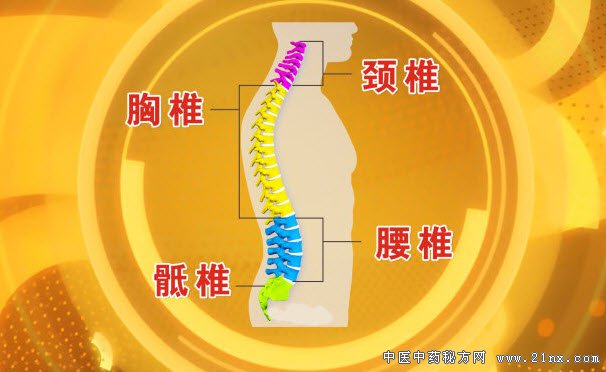 如何保护我们的脊椎