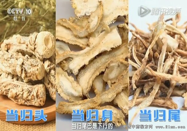 当归全身都可入药