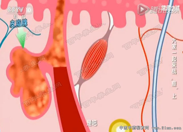 大家一起来战痘
