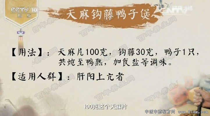 天麻钩藤鸭子煲