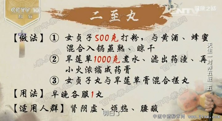 自制二至丸的方法