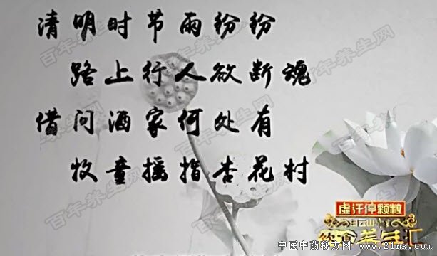 清明养生