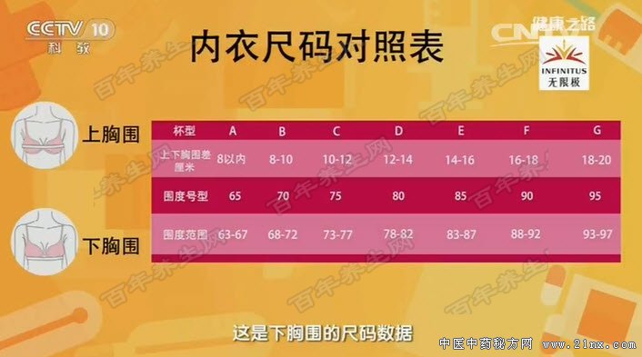 内衣尺码对照表