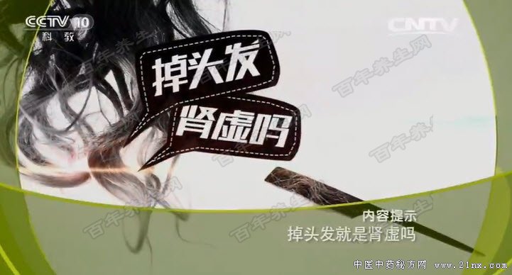 掉头发就是肾虚吗