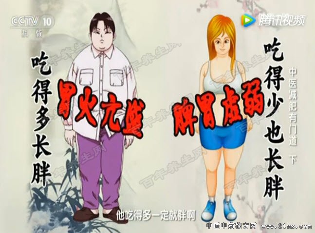 中医减肥有门道