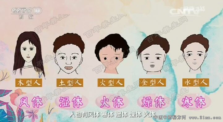 体质的类型