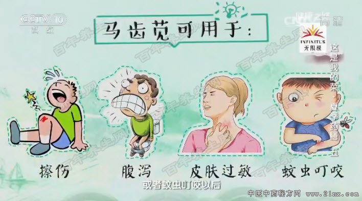 �����ȵ�����