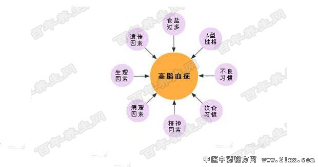 血脂高有哪些病因