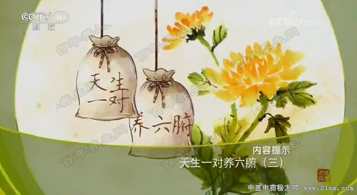 天生一对养六腑