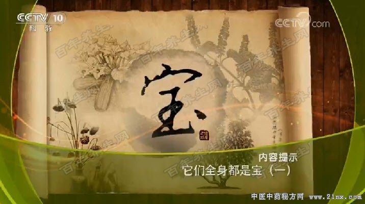 它们全身都是宝