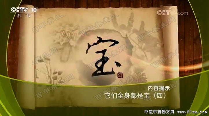 ����ȫ�����Ǳ�