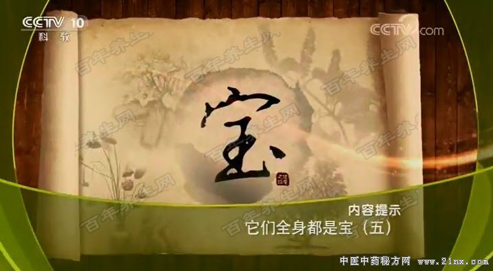 ����ȫ�����Ǳ�