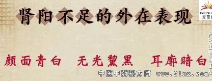 肾阳不足的外在表现