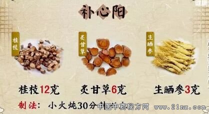 补心阳代茶饮