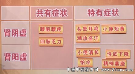 肾阴虚还是肾阳虚