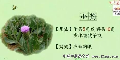 健康之路20180322张雪亮《顺时养出健康来·春》(二) 小蓟代茶饮