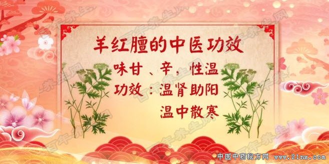 羊红膻的中医功效