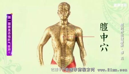 健康之路20180325付国兵《顺时养出健康来·春》(五)肝气郁滞 膻中穴