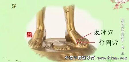 健康之路20180325付国兵《顺时养出健康来·春》(五)肝气郁滞 太冲穴