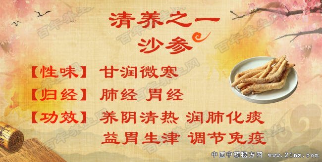 沙参应该怎么使用