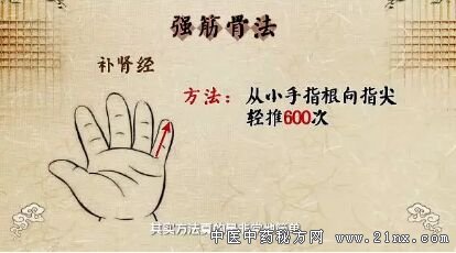 强筋骨法 强筋骨法