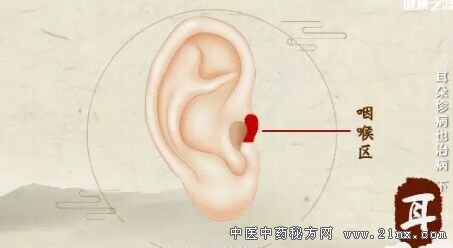 ��Ѩ���ʷ�