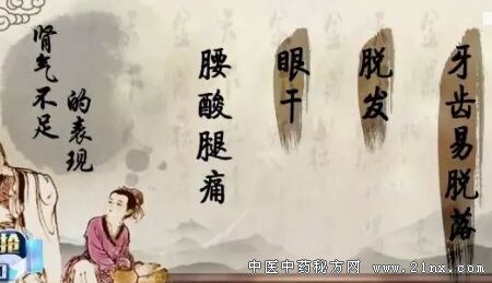 肾气不足的表现 肾气不足的表现