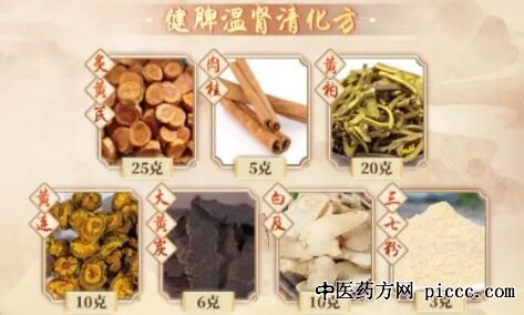 健脾温肾清化方