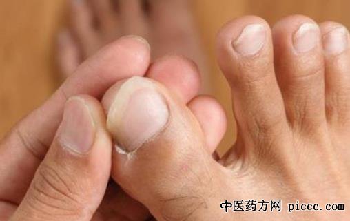 20230602:,΢ѭϰ,ָ֫ѭϰ