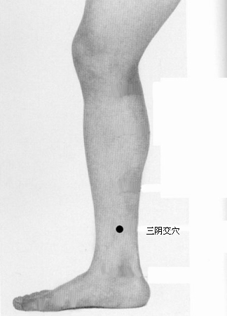 三阴交