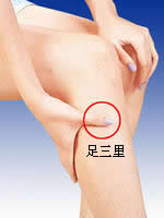 足三里穴